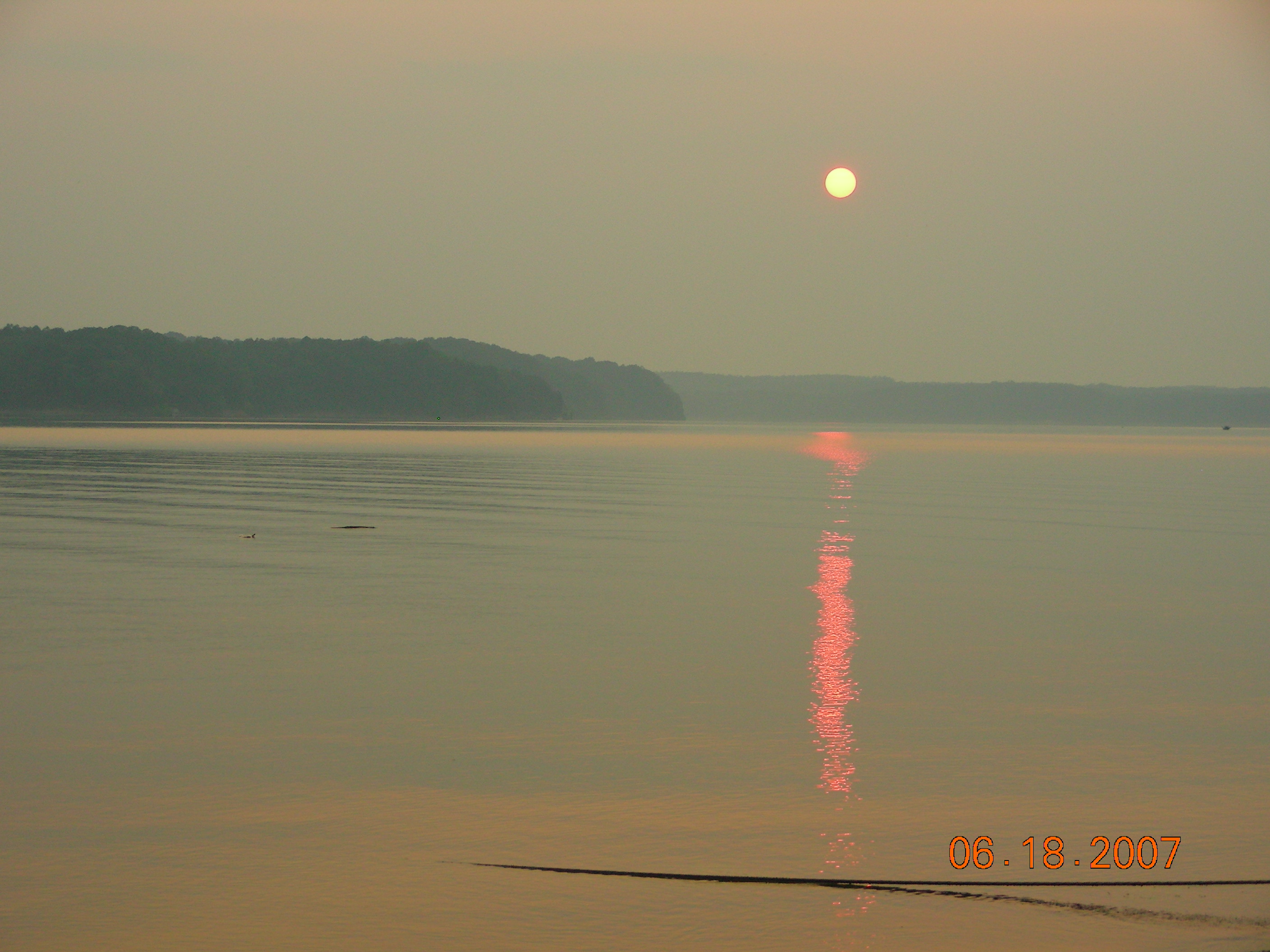 ./2007/Kerr Lake Eagles Nest/June18/DSCN1288.JPG